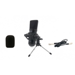 CAD Side Address Large Diaphram Condenser Microphone; GLX1800