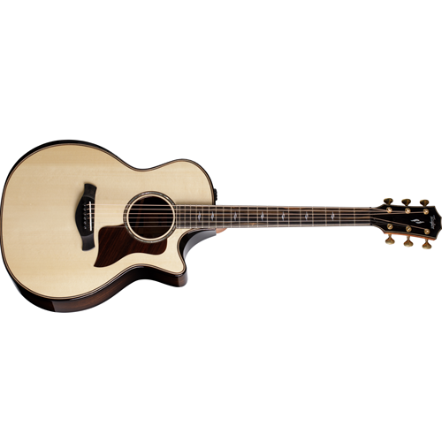 Taylor 814ce acoustic deals guitar