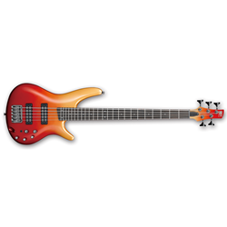 Ibanez SR305E SR Series 5-String Electric Bass Guitar