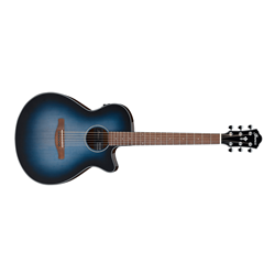 Ibanez AEG50 Acoustic Electric Guitar