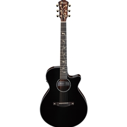 Ibanez AEG Series Acoustic/Electric Guitar; AEG550