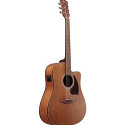 Ibanez PF54ce Acoustic/Electric Guitar